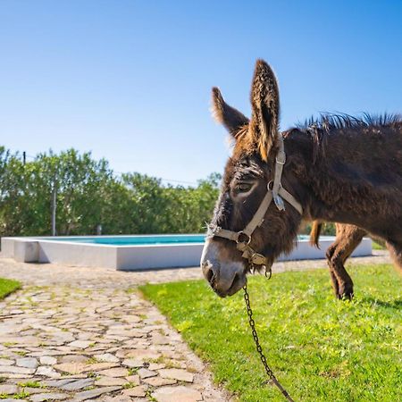 Burro Ville By Host Wise Portimão Dış mekan fotoğraf