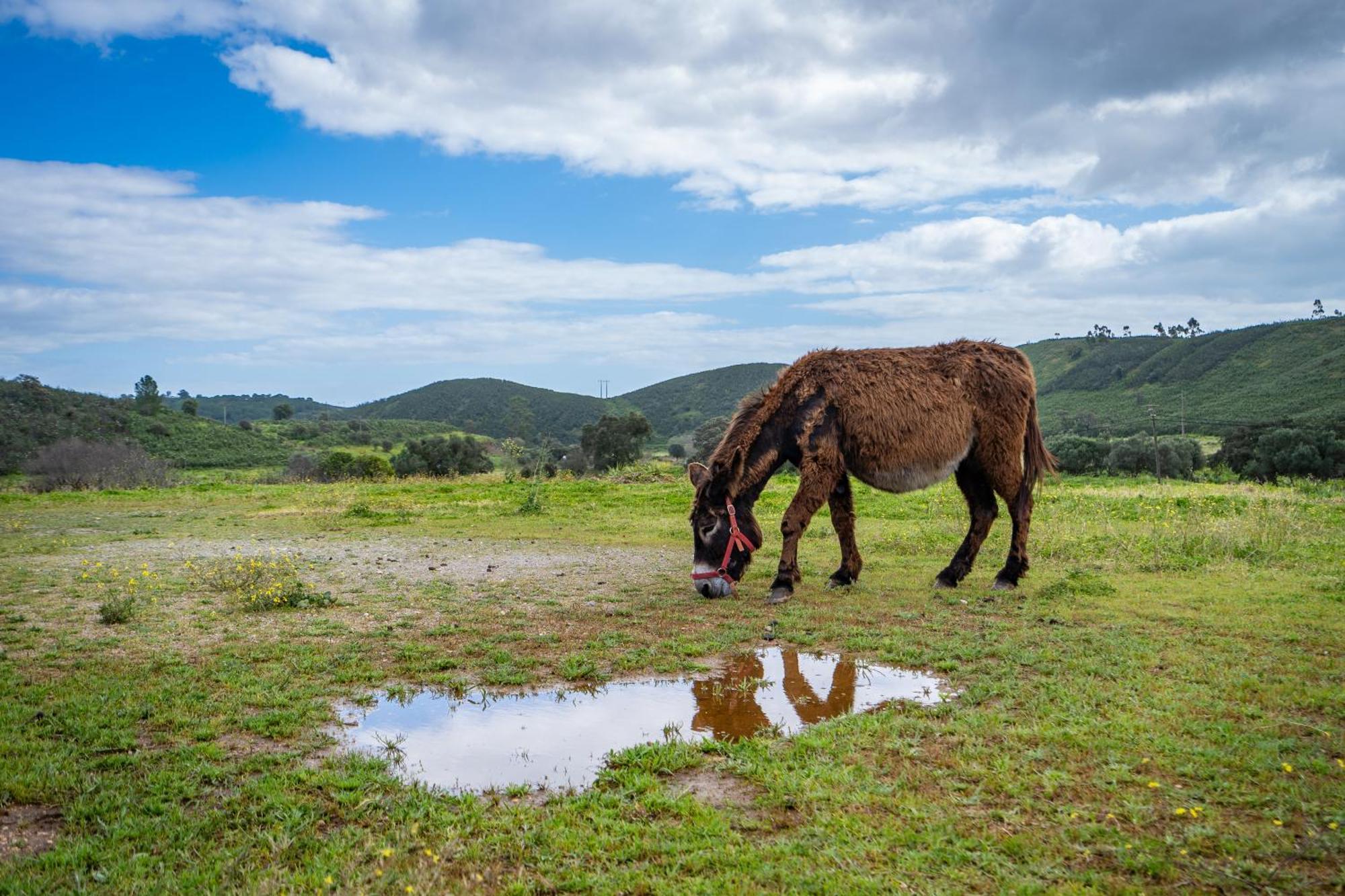 Burro Ville By Host Wise Portimão Dış mekan fotoğraf