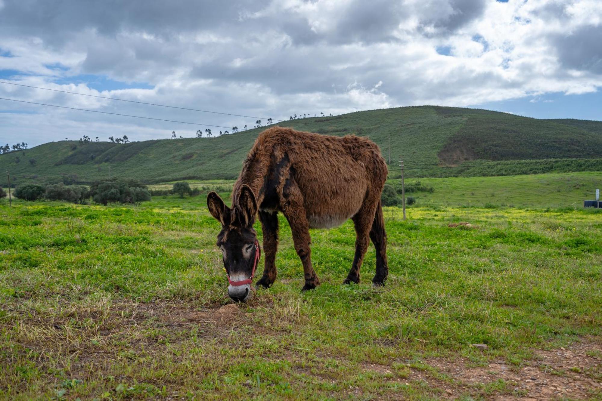 Burro Ville By Host Wise Portimão Dış mekan fotoğraf