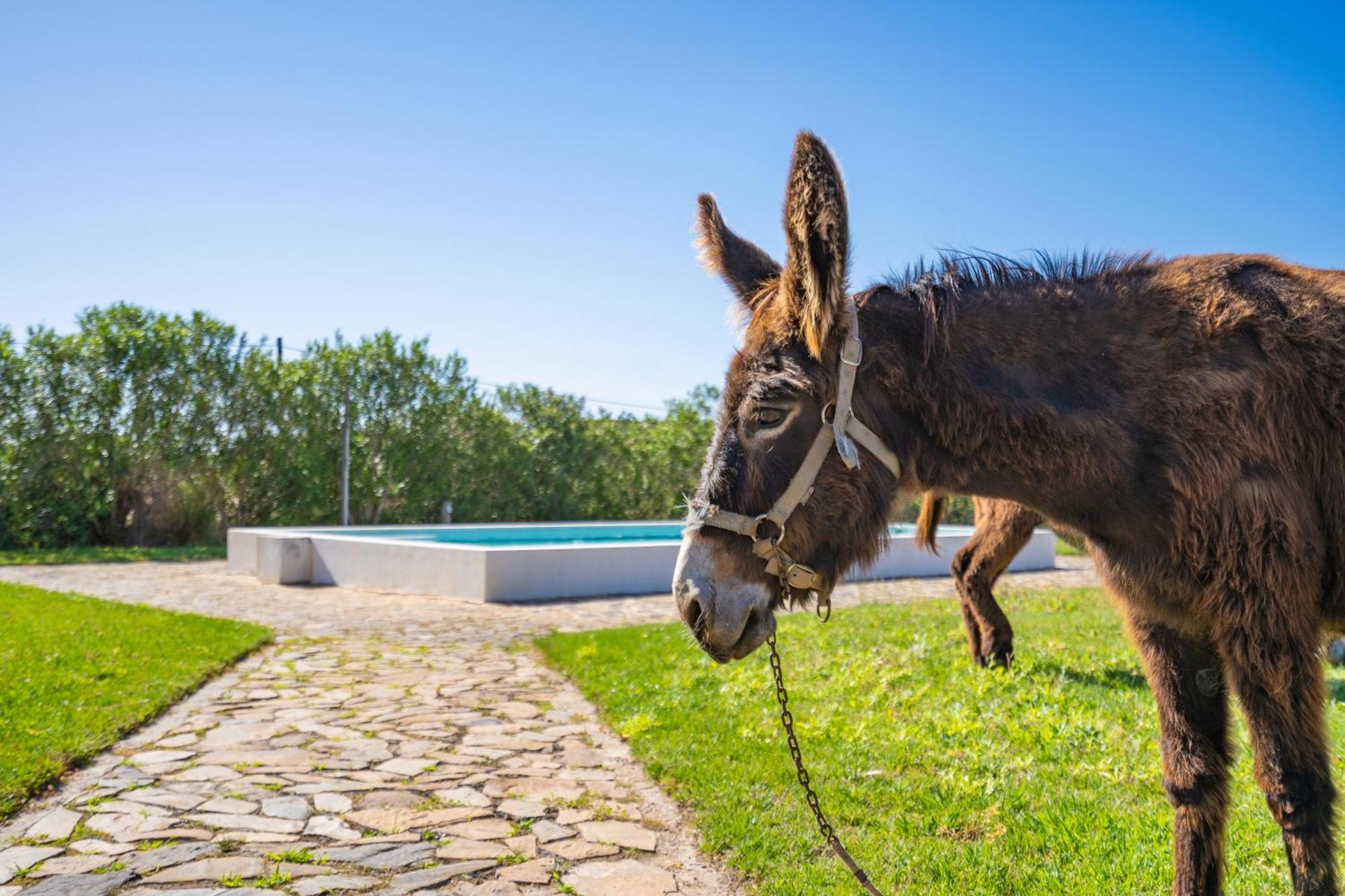 Burro Ville By Host Wise Portimão Dış mekan fotoğraf