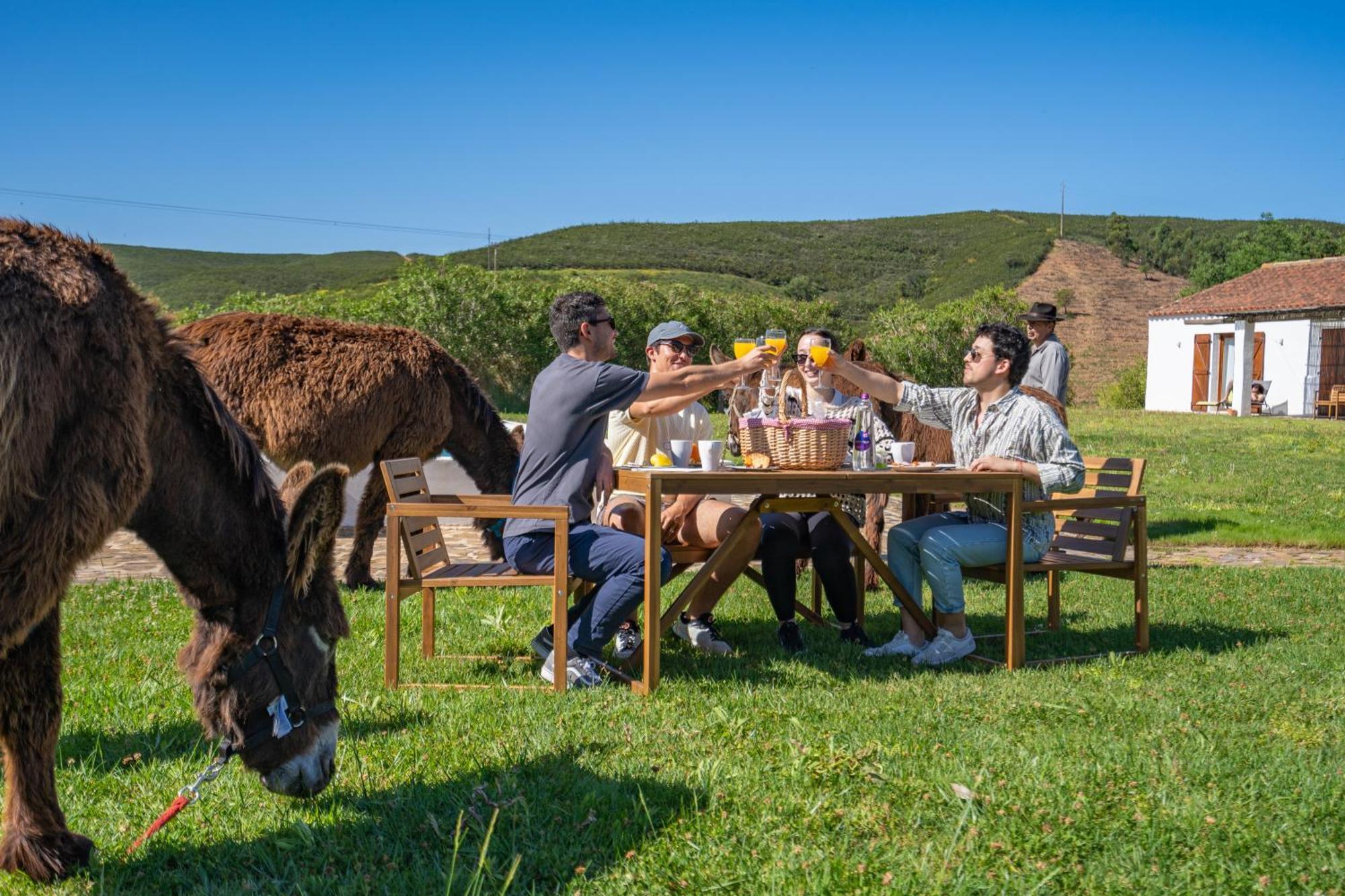 Burro Ville By Host Wise Portimão Dış mekan fotoğraf