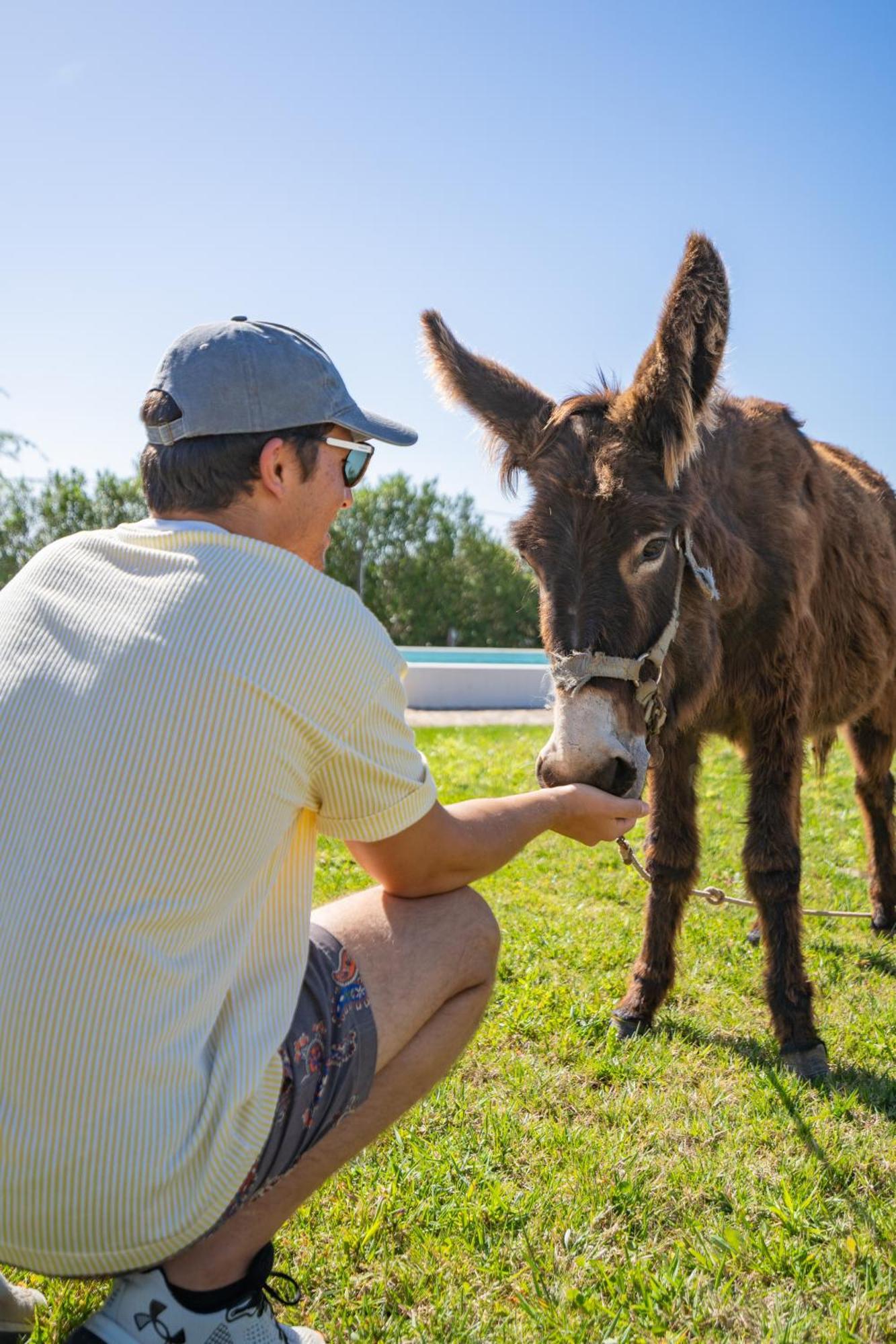 Burro Ville By Host Wise Portimão Dış mekan fotoğraf