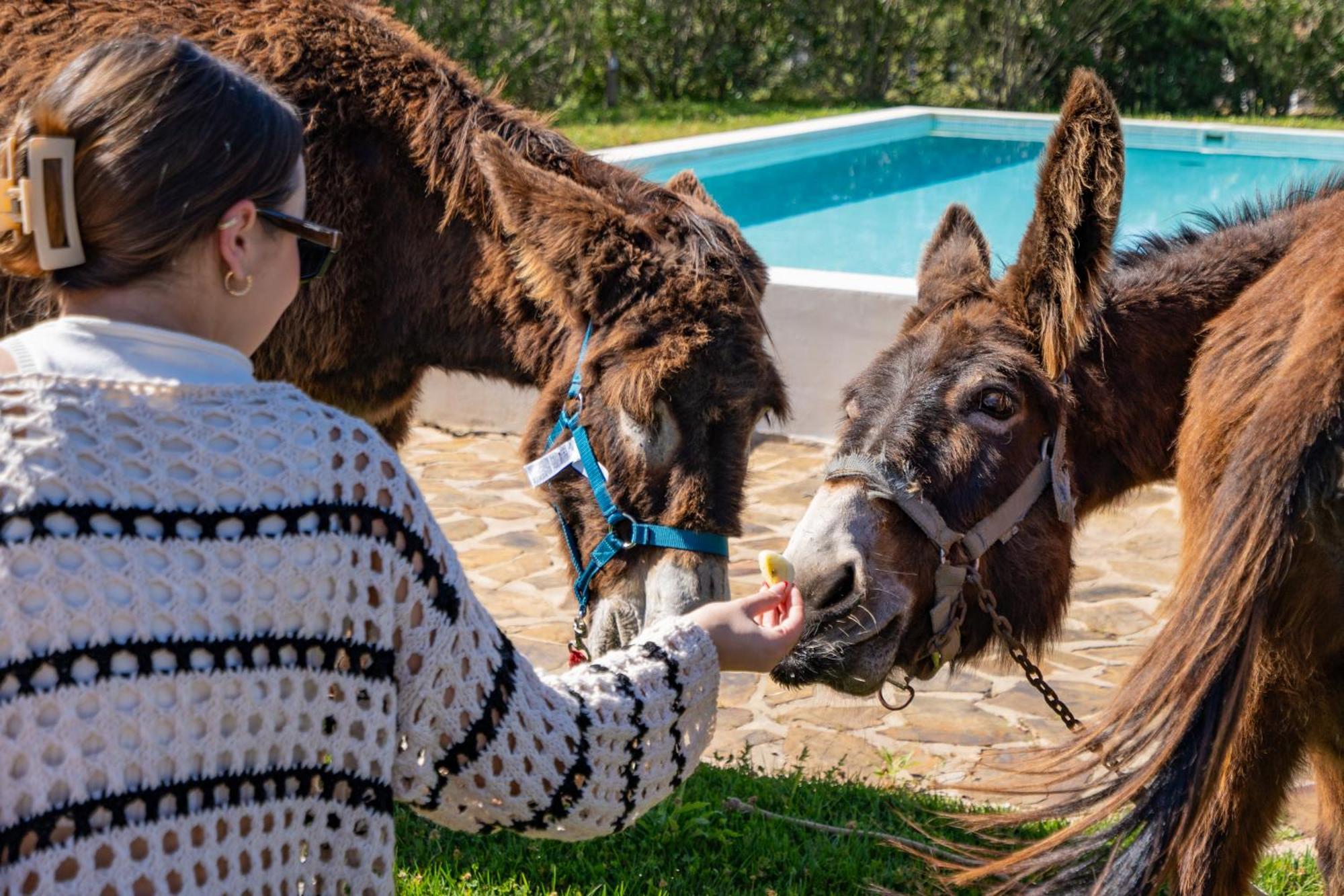 Burro Ville By Host Wise Portimão Dış mekan fotoğraf